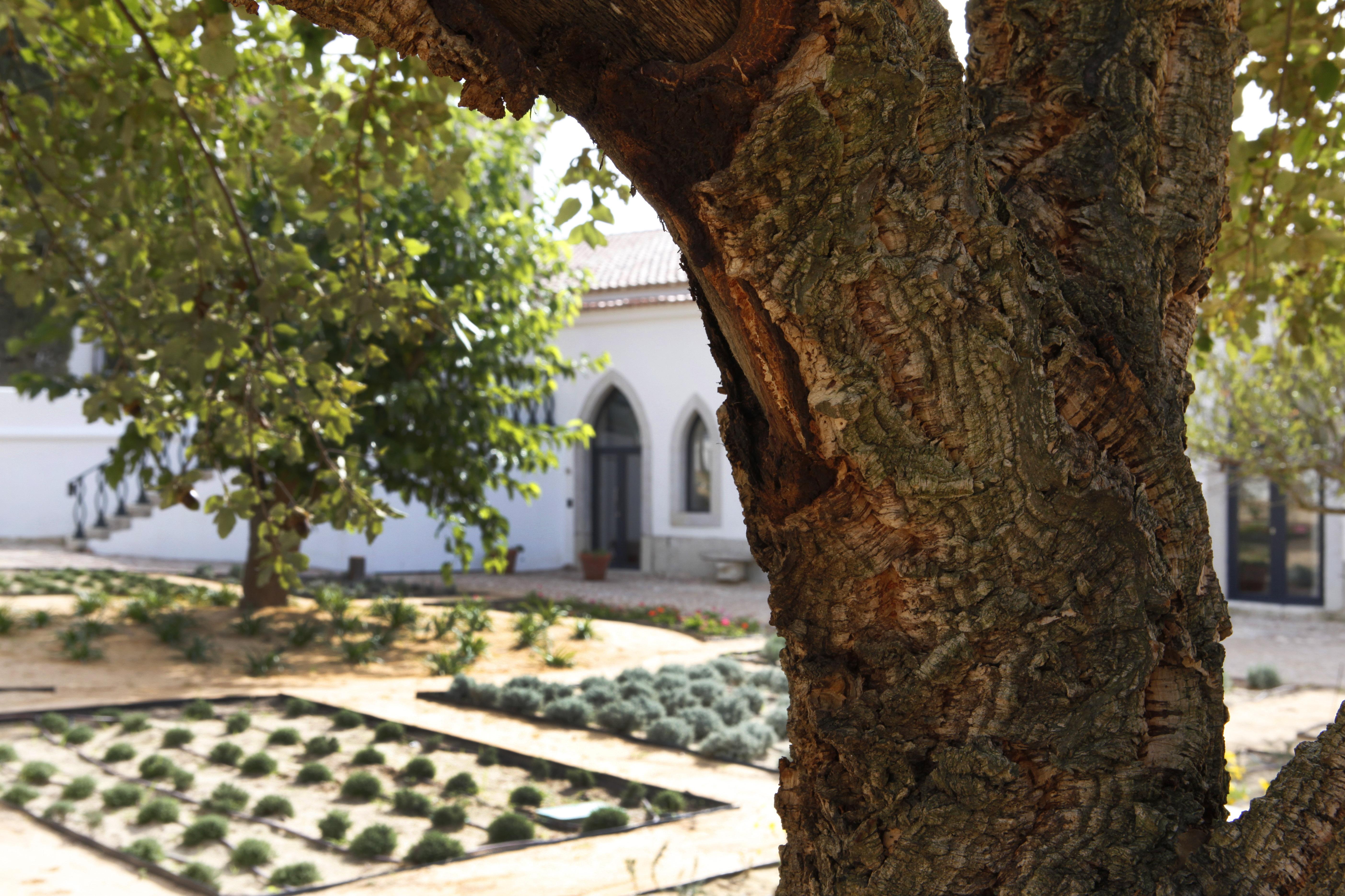 Hotel Casa Palmela - Small Luxury Hotels Of The World, Hotel & Villas Setúbal Exterior foto