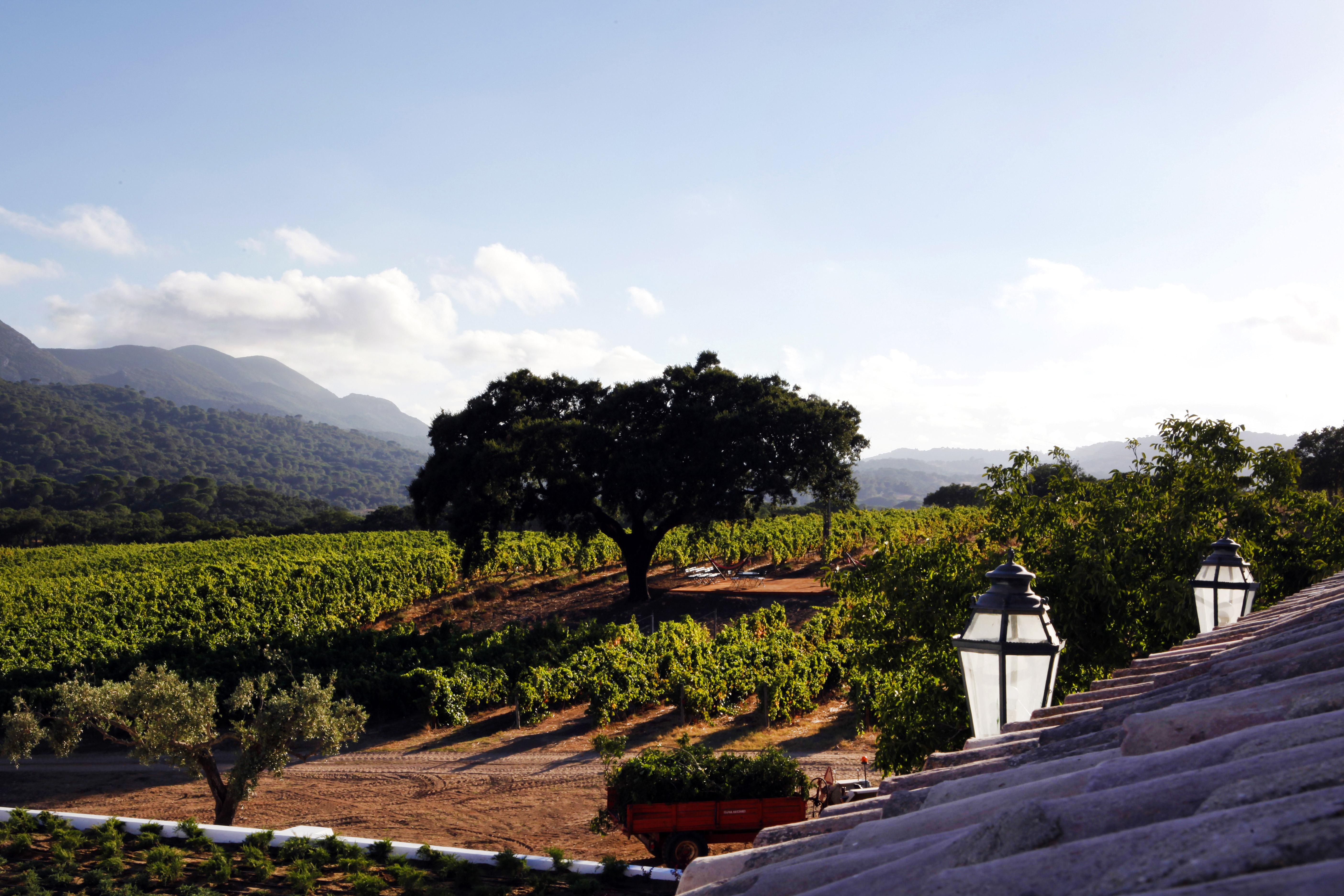 Hotel Casa Palmela - Small Luxury Hotels Of The World, Hotel & Villas Setúbal Exterior foto